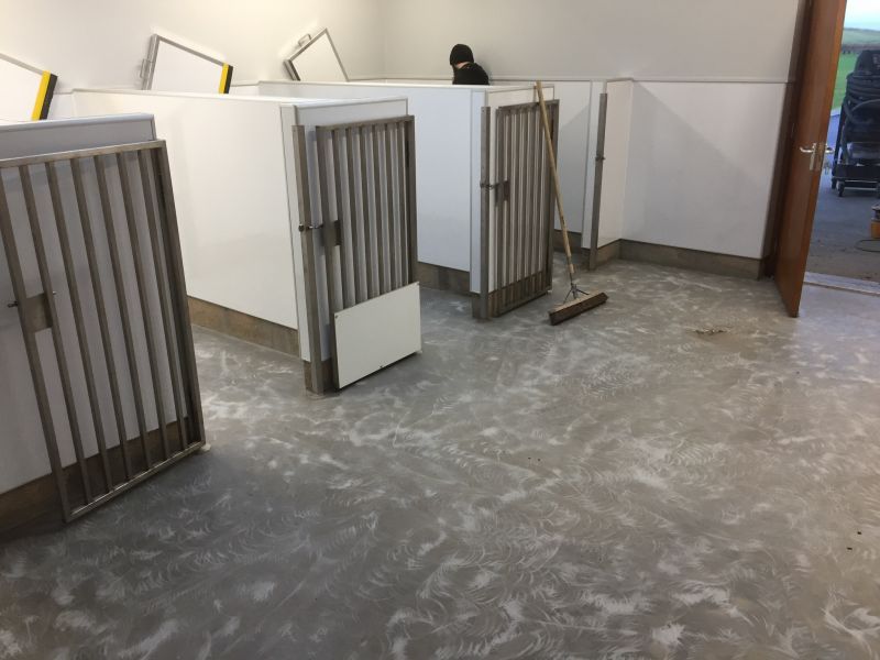 pet kennels flooring